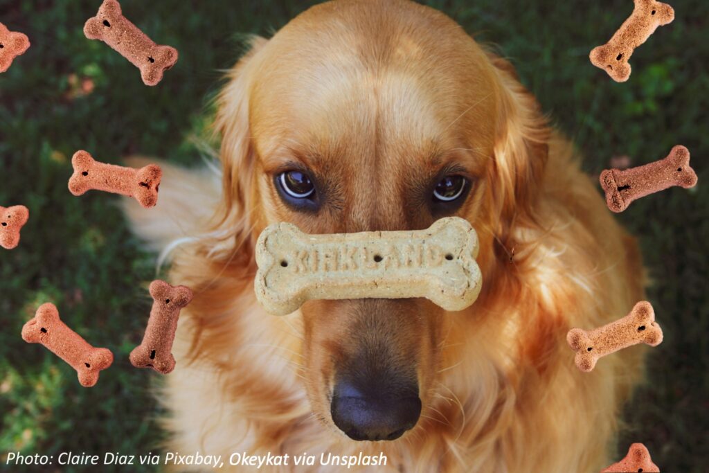 Logo of All-Natural Organic Dog Chews for Healthy Teeth